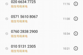阿拉善右旗收债公司联系方式：高效解决债务难题
